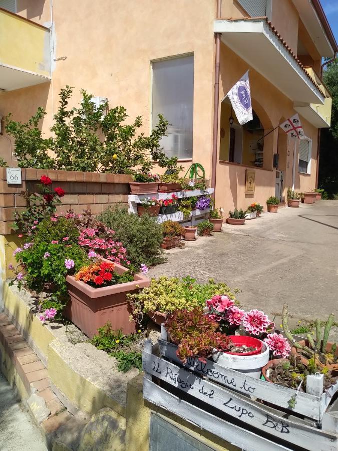 B&B Il Rifugio Del Lupo - E6721 Paringianu Eksteriør billede